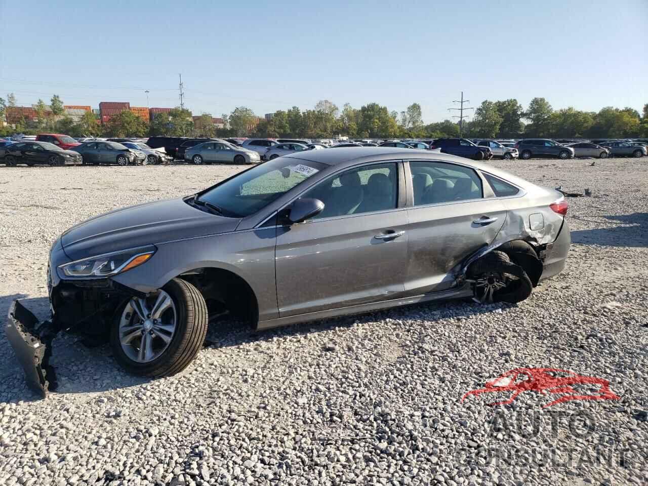 HYUNDAI SONATA 2018 - 5NPE34AF5JH642547