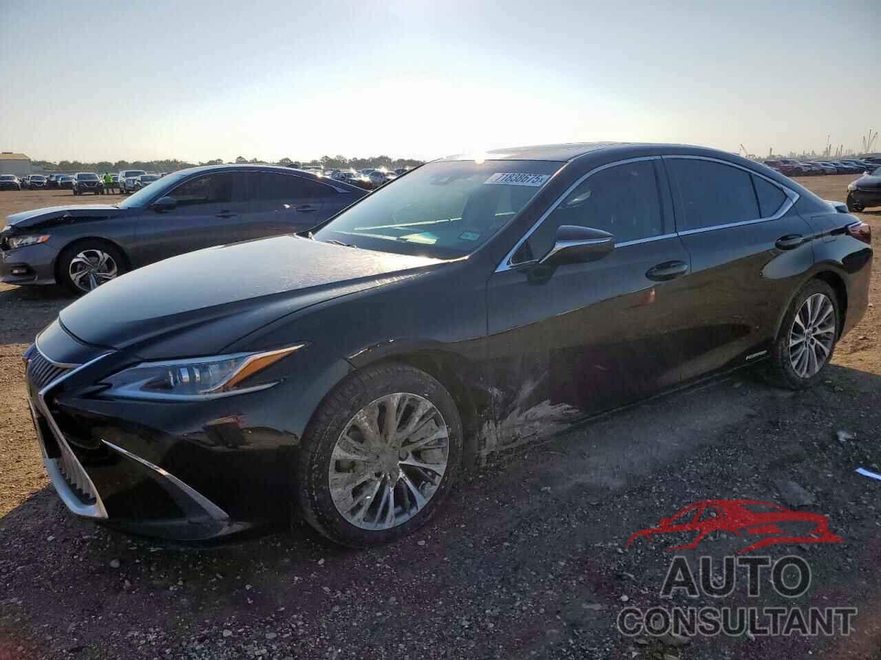 LEXUS ES300 2020 - 58AD21B16LU010041