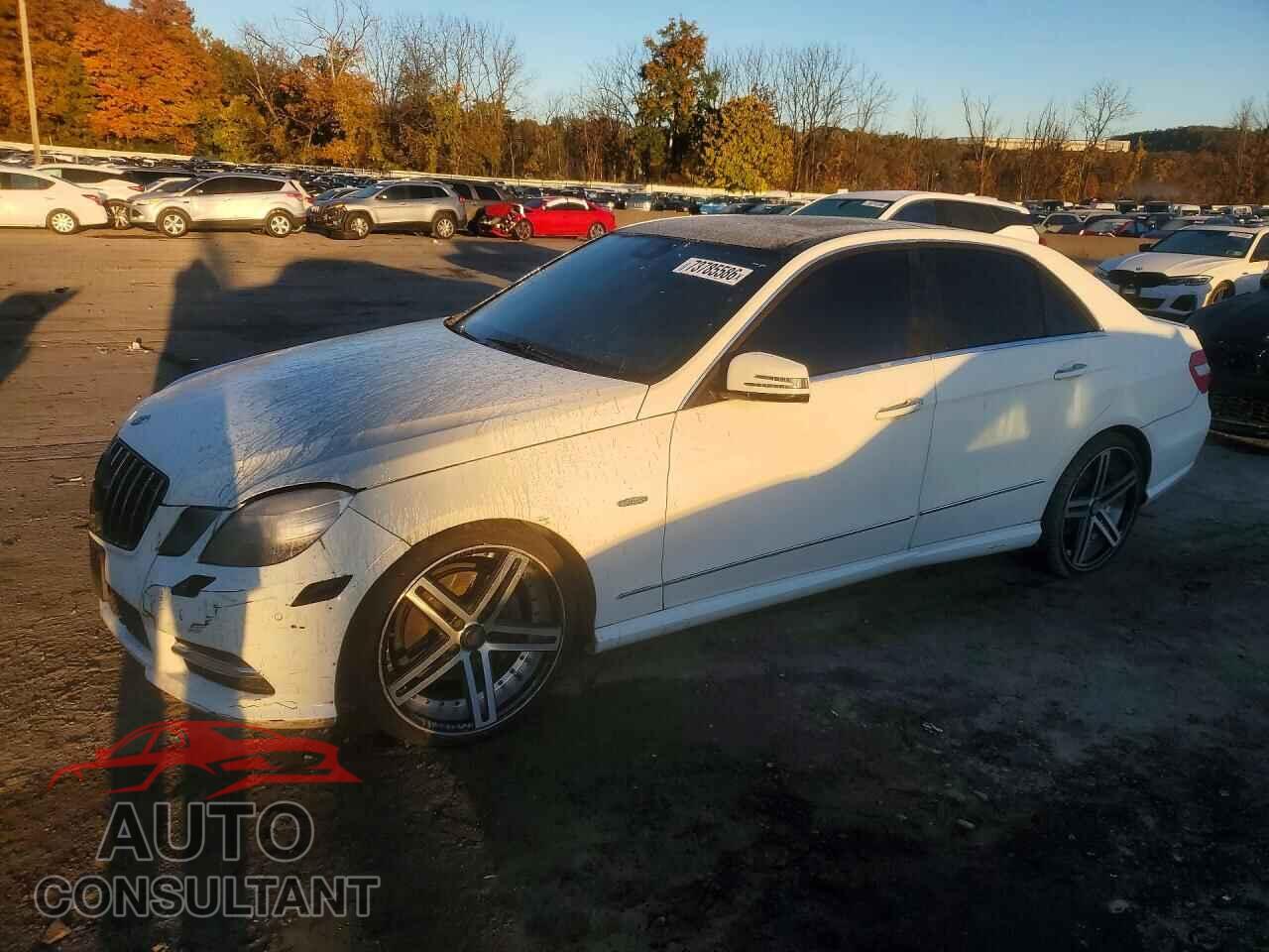 MERCEDES-BENZ E-CLASS 2012 - WDDHF8JB1CA655398