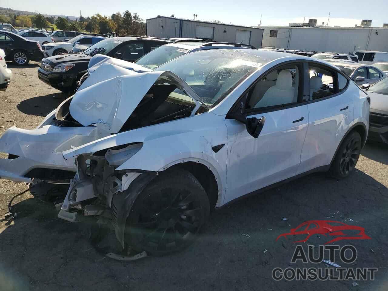 TESLA MODEL Y 2022 - 7SAYGDEE4NF554888