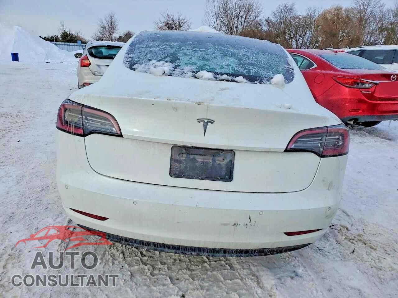 TESLA MODEL 3 2019 - 5YJ3E1EA8KF480413