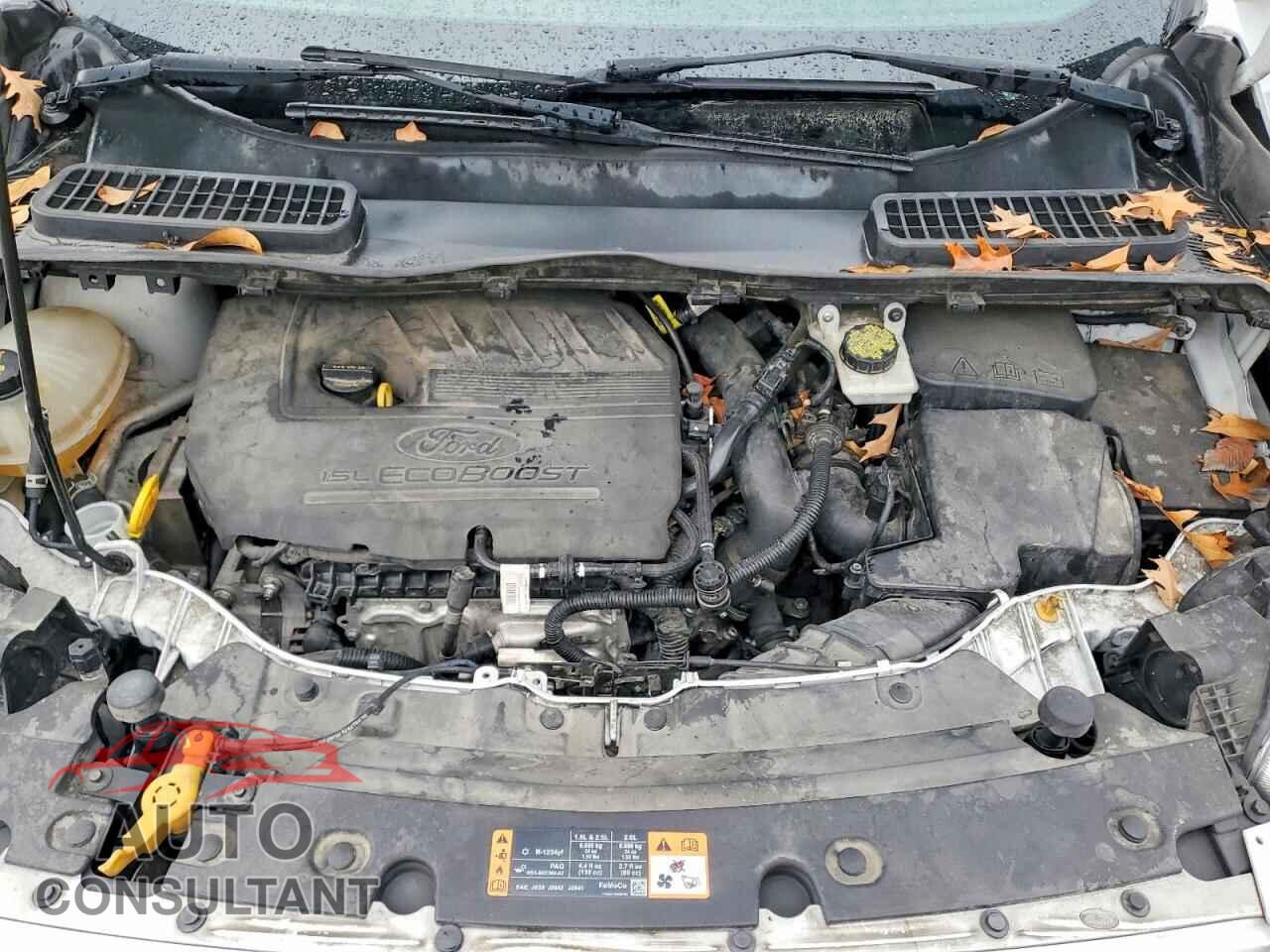 FORD ESCAPE 2017 - 1FMCU0GD2HUB01860