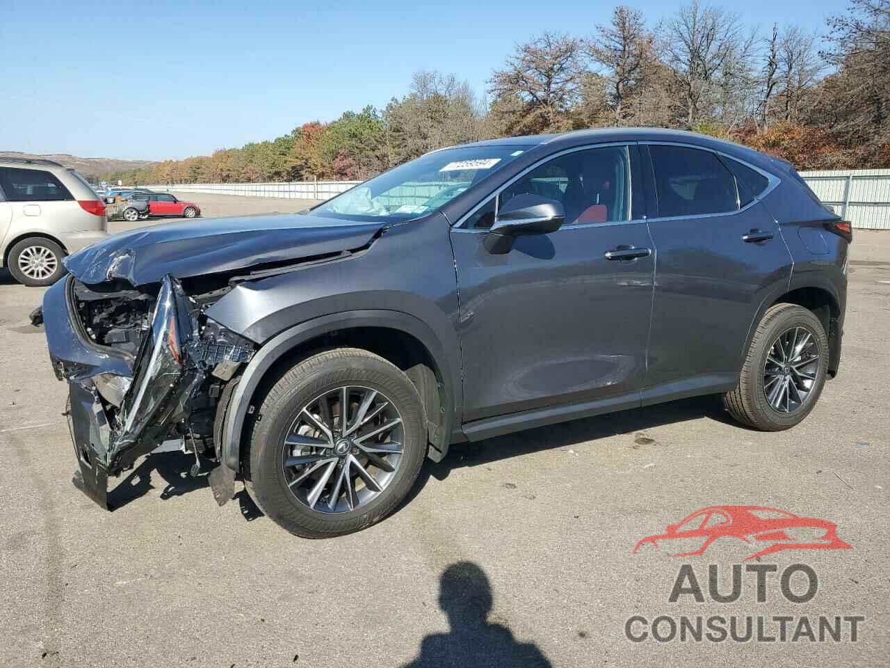 LEXUS NX 250 BAS 2024 - 2T2ADCAZ4RC006065