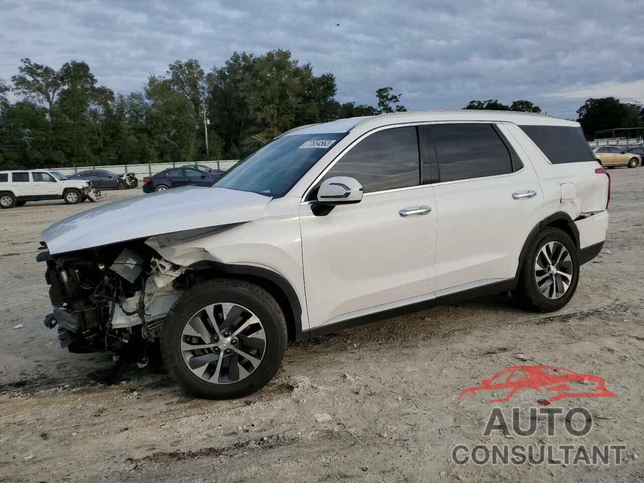 HYUNDAI PALISADE 2020 - KM8R24HE9LU038814