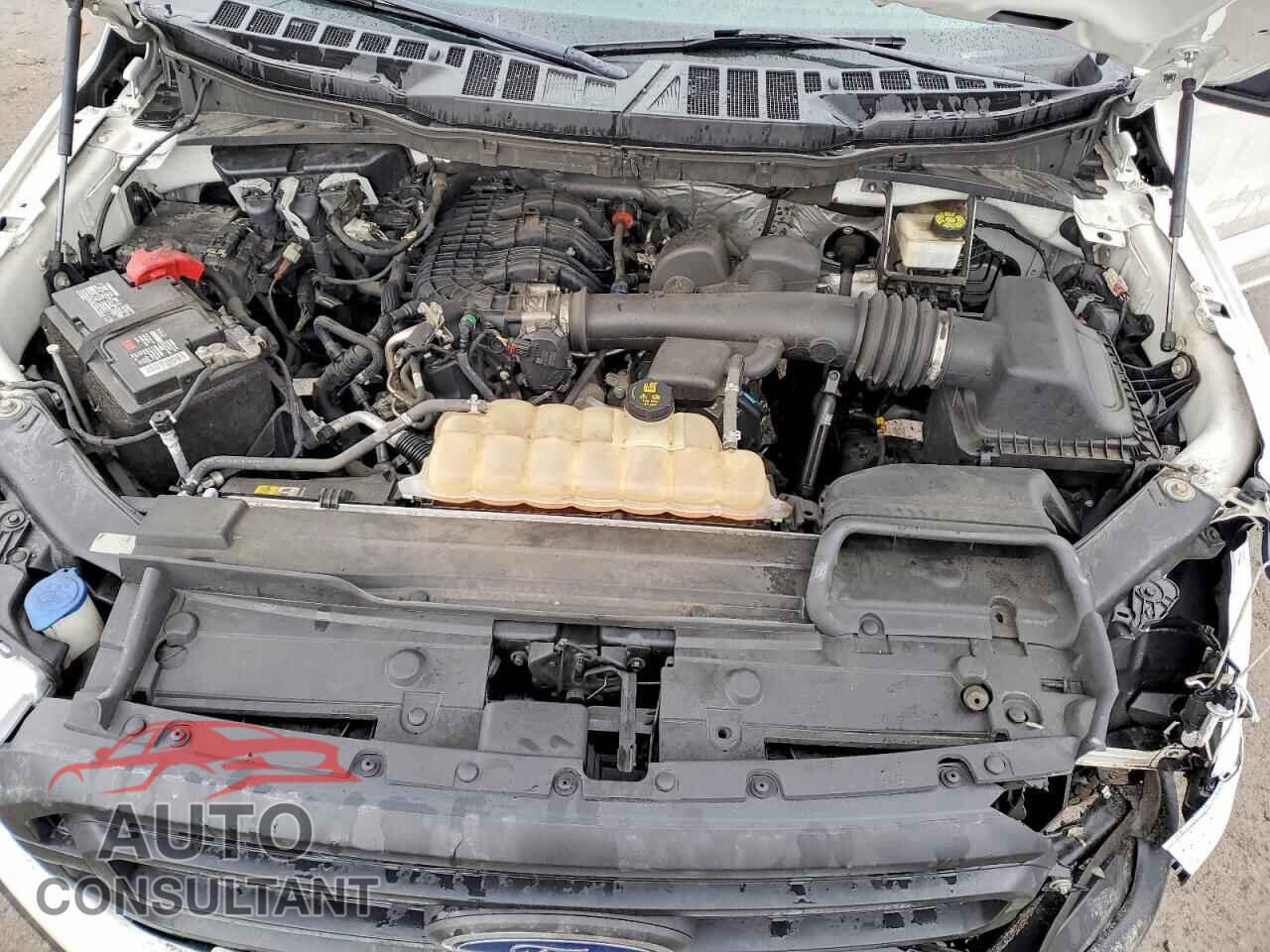 FORD All Models 2021 - 1FTMF1CB3MKD64782