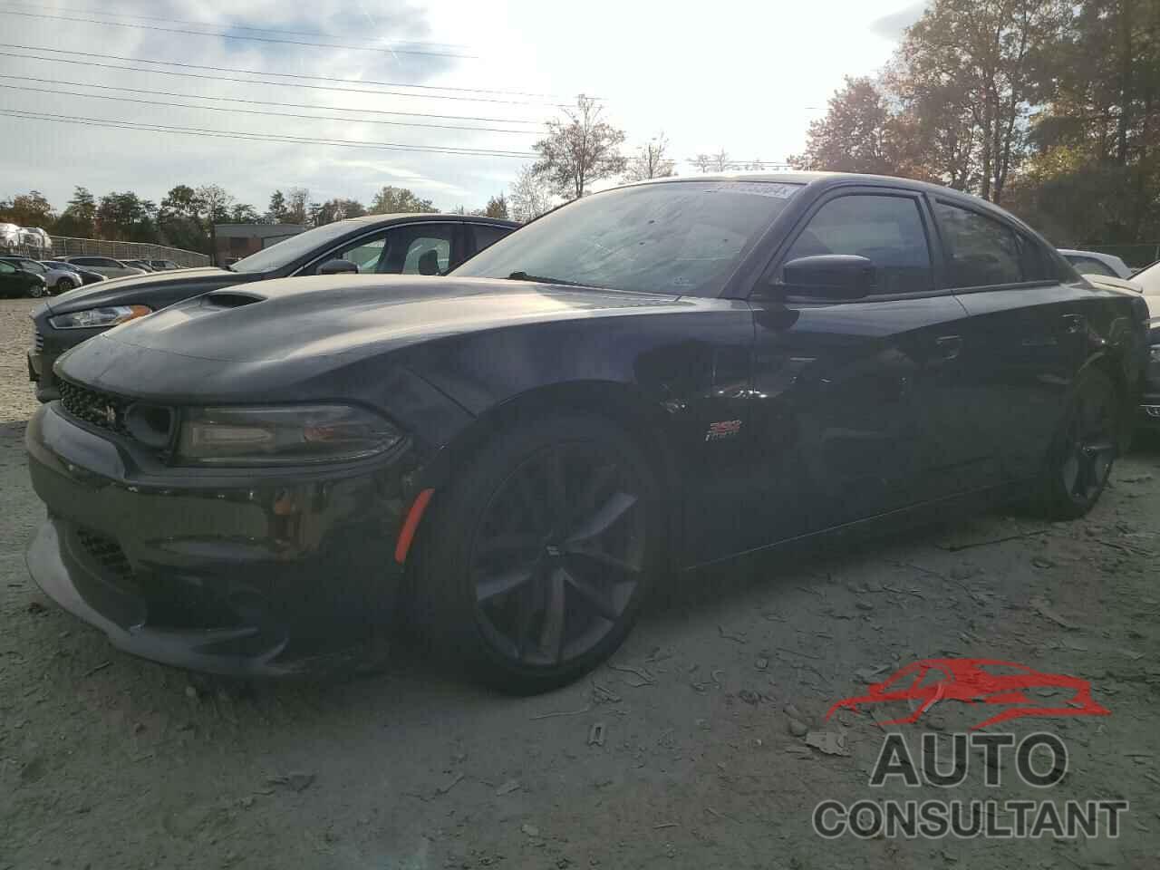 DODGE CHARGER 2019 - 2C3CDXGJ2KH558931