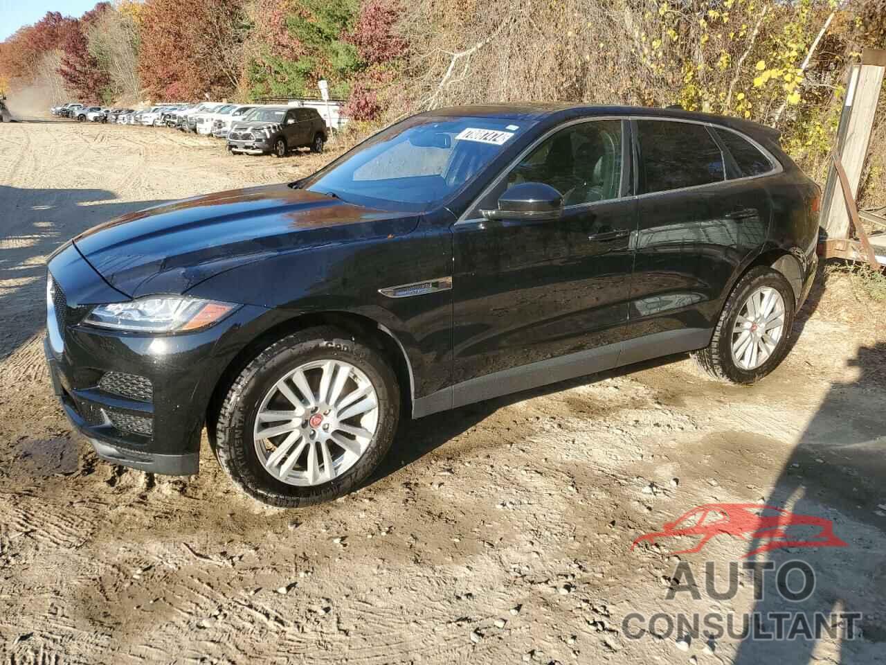 JAGUAR F-PACE 2017 - SADCK2BV1HA892779