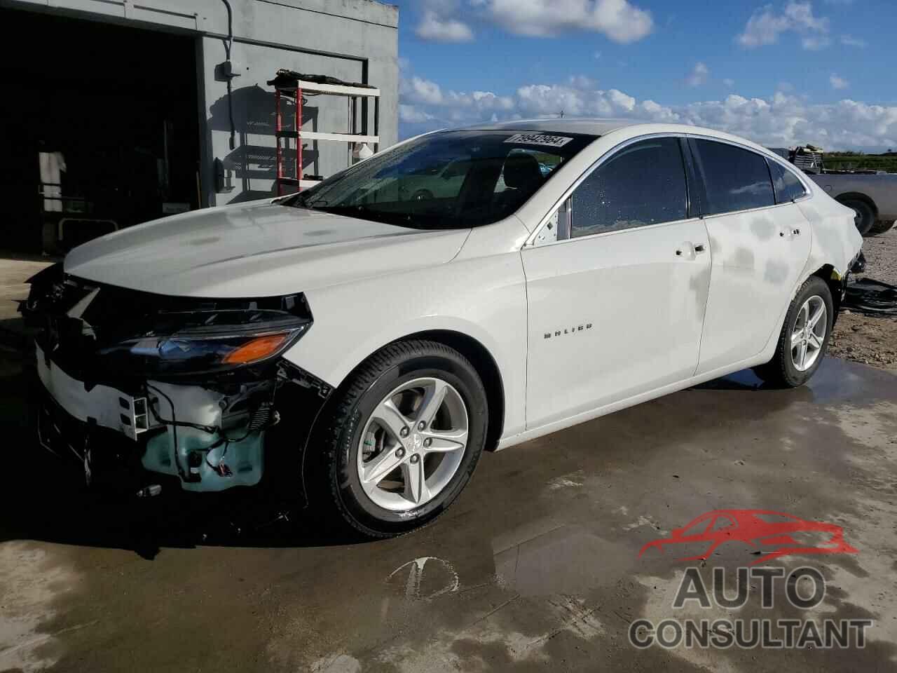 CHEVROLET MALIBU 2019 - 1G1ZB5STXKF193109