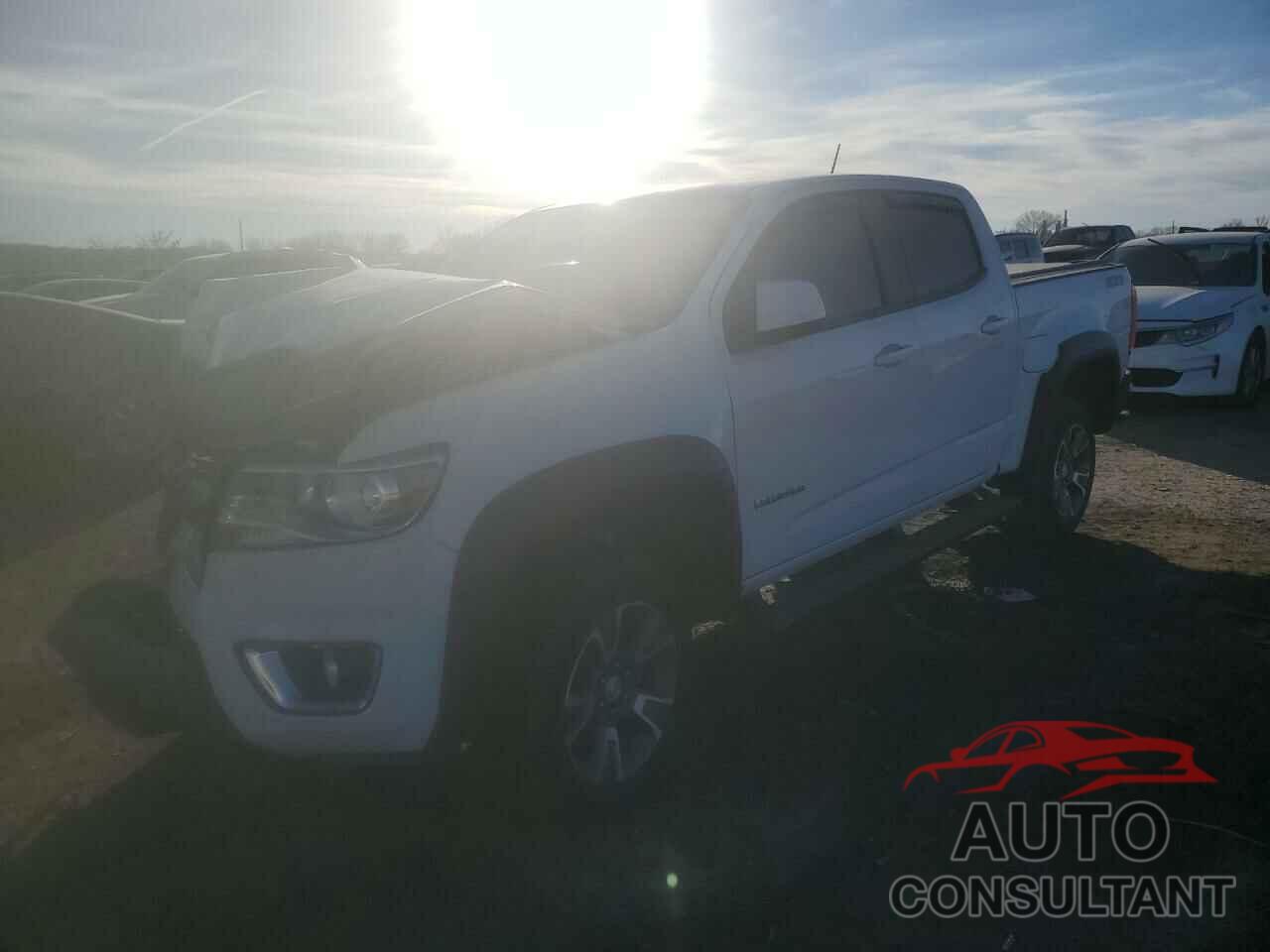 CHEVROLET COLORADO 2019 - 1GCGTDEN9K1131510