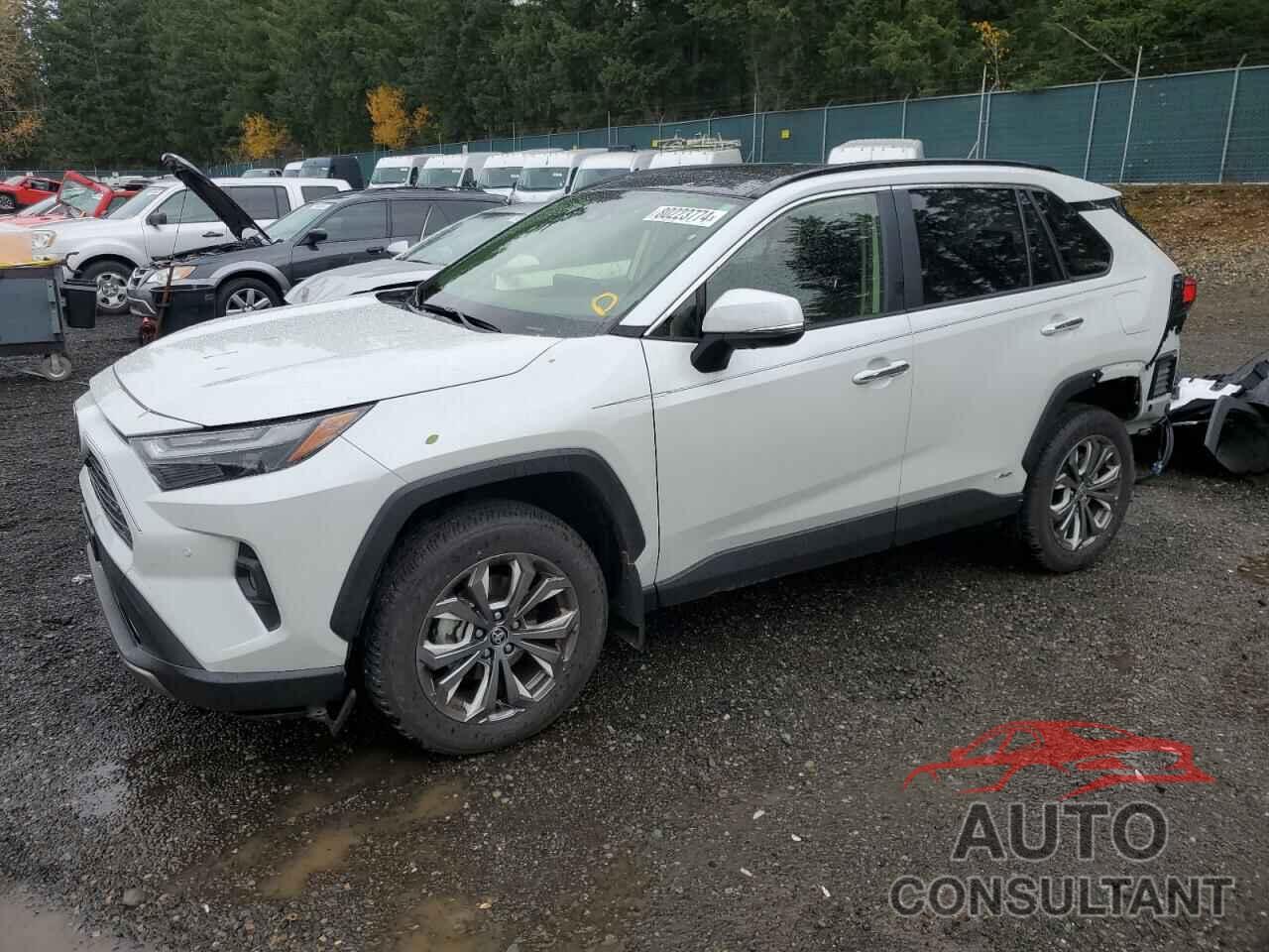 TOYOTA RAV4 2024 - JTMD6RFV0RJ041002