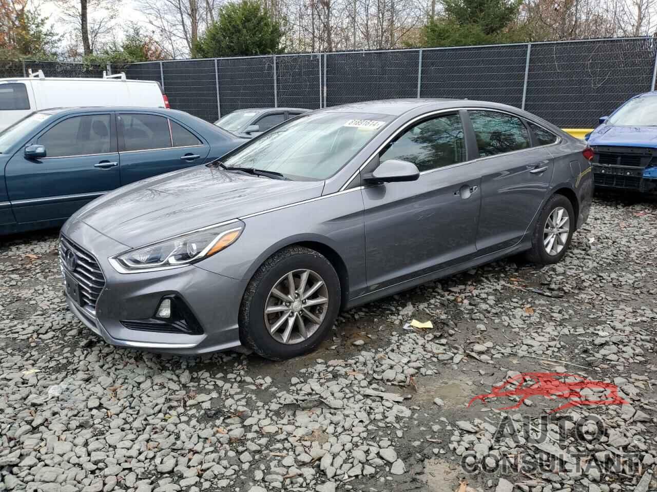 HYUNDAI SONATA 2019 - 5NPE24AF1KH773771