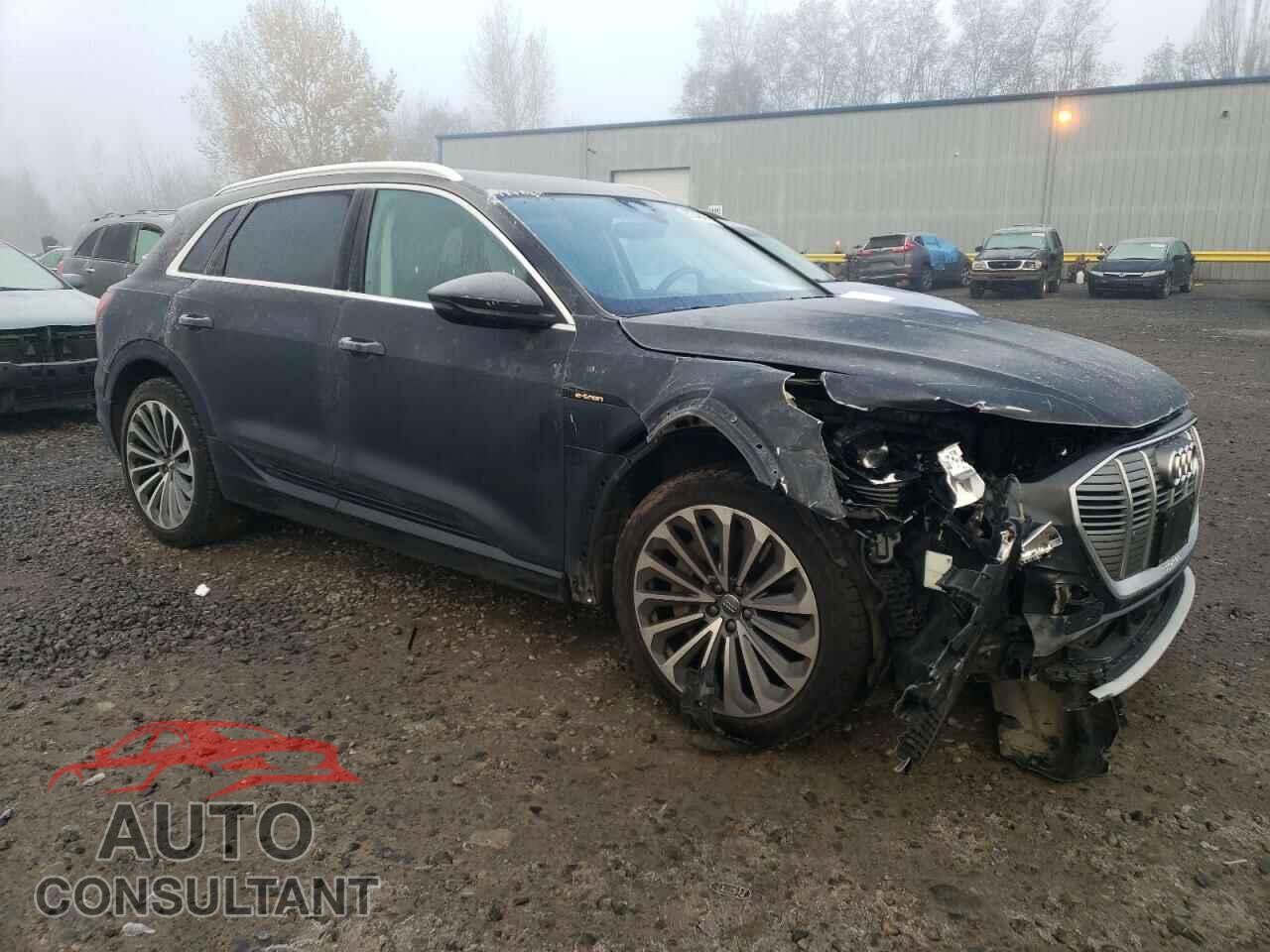 AUDI E-TRON 2019 - WA1VABGE8KB011104