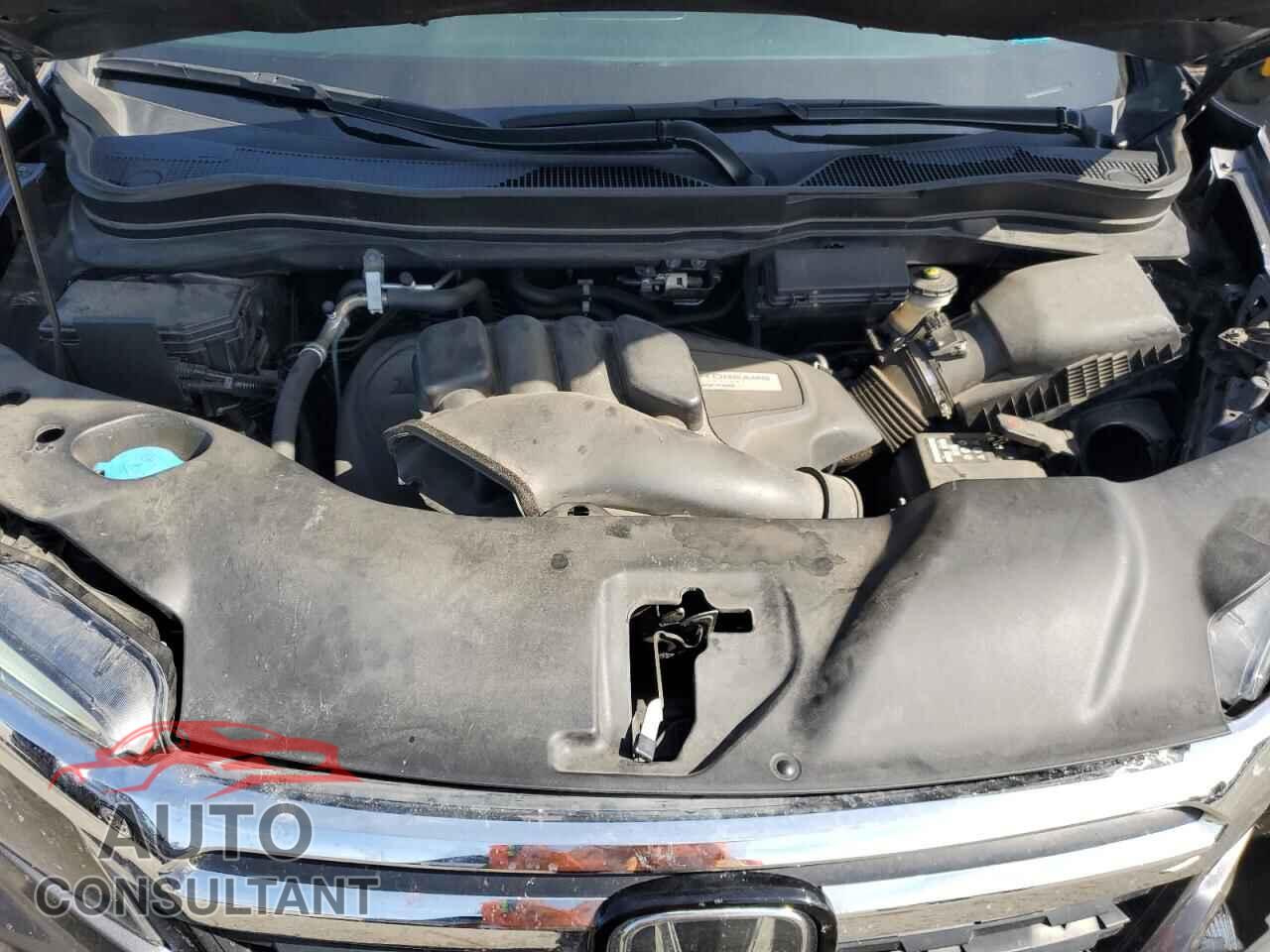 HONDA RIDGELINE 2019 - 5FPYK3F77KB021068