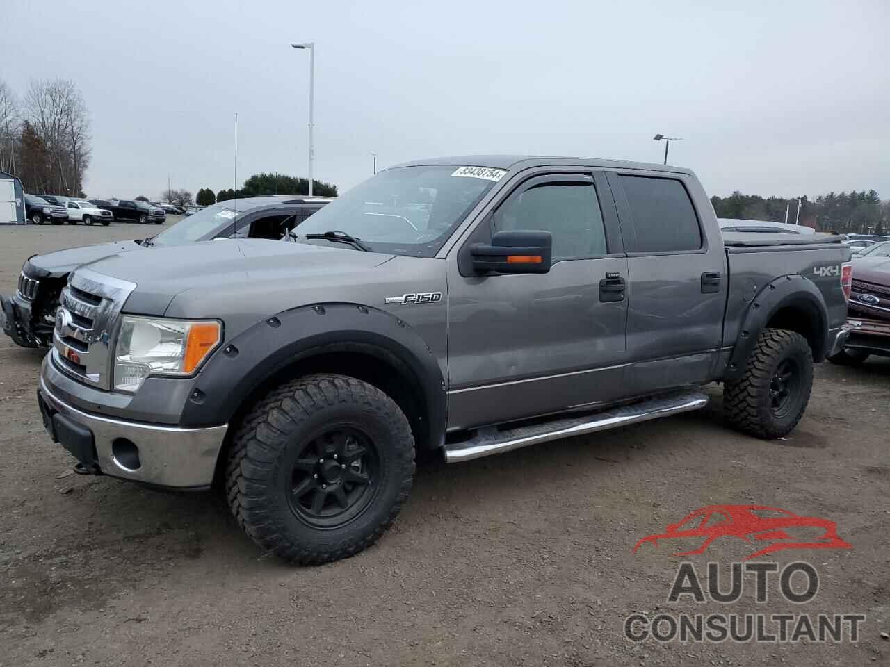 FORD F-150 2010 - 1FTEW1E86AFB26435