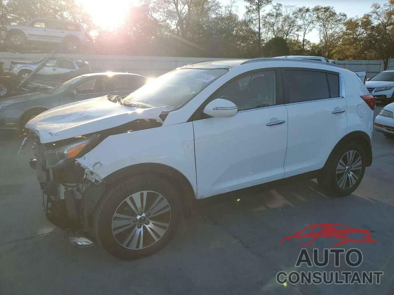 KIA SPORTAGE 2014 - KNDPC3AC5E7562362