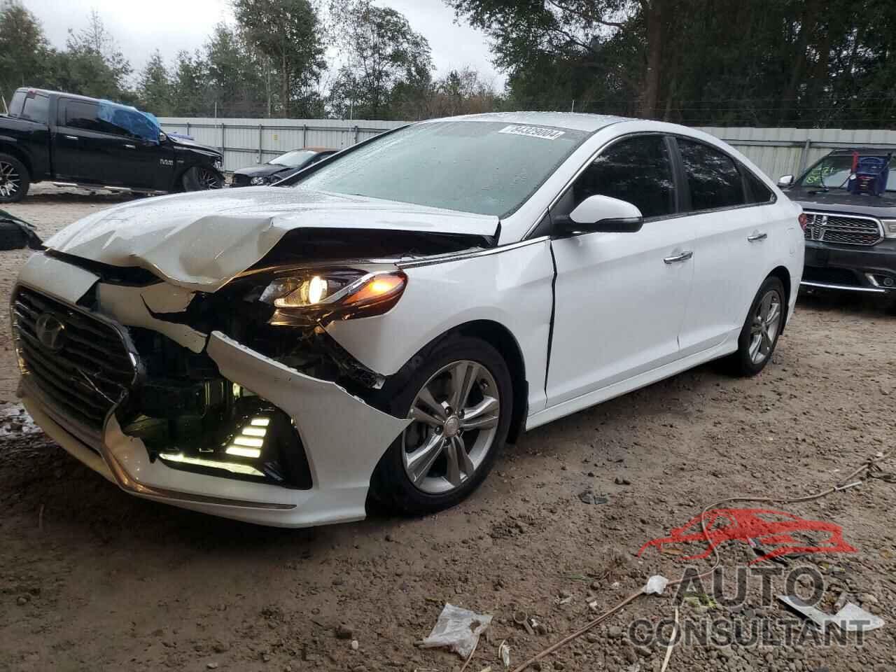 HYUNDAI SONATA 2018 - 5NPE34AFXJH612721