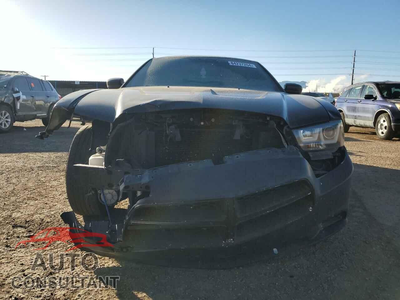 DODGE CHARGER 2014 - 2C3CDXBG7EH227357