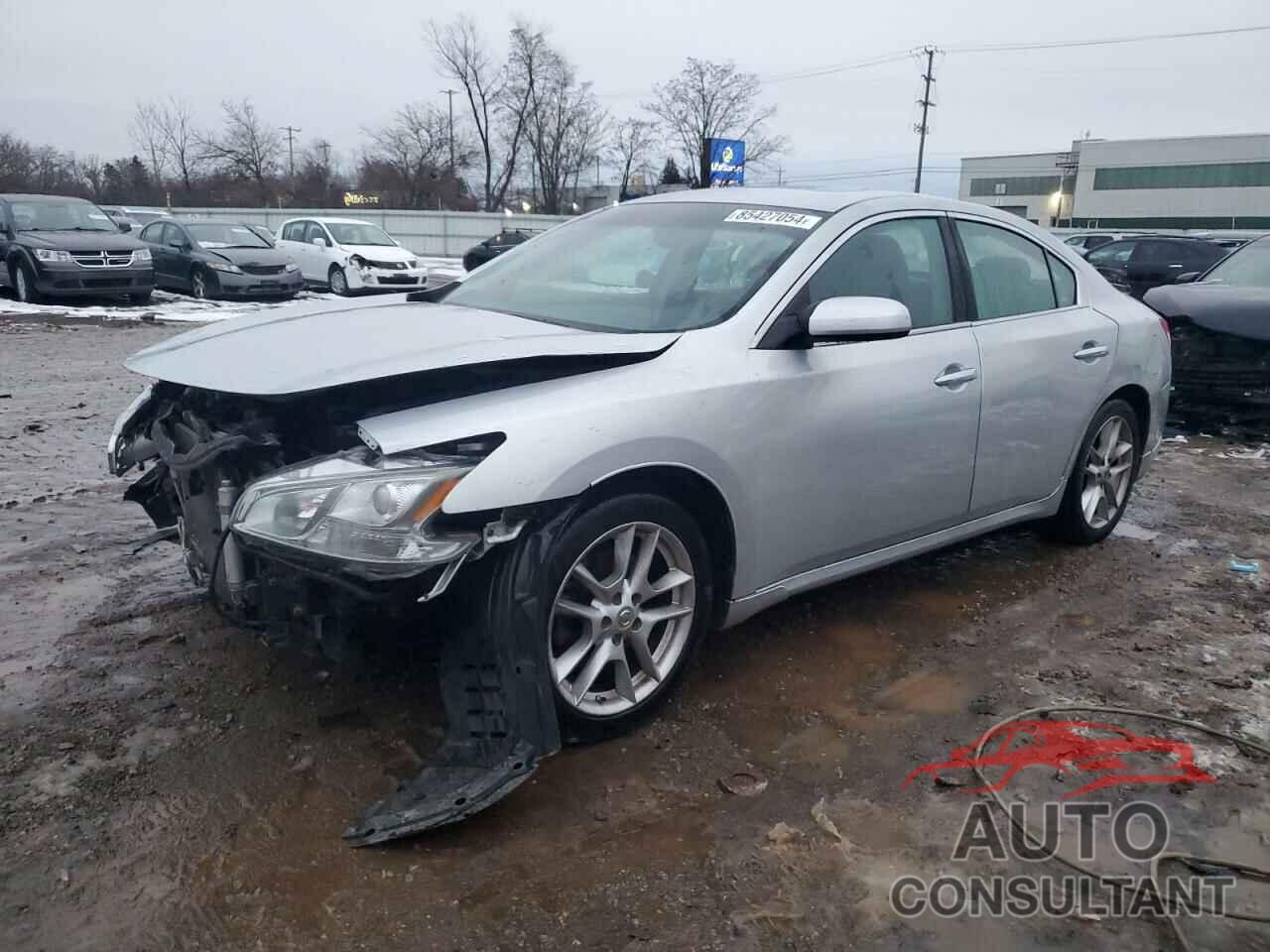 NISSAN MAXIMA 2009 - 1N4AA51E29C850304