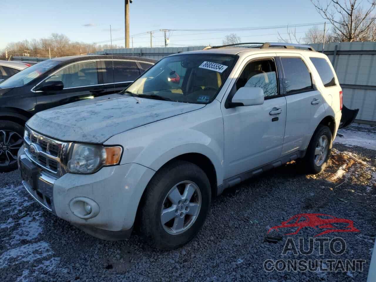 FORD ESCAPE 2010 - 1FMCU9EG0AKC91824