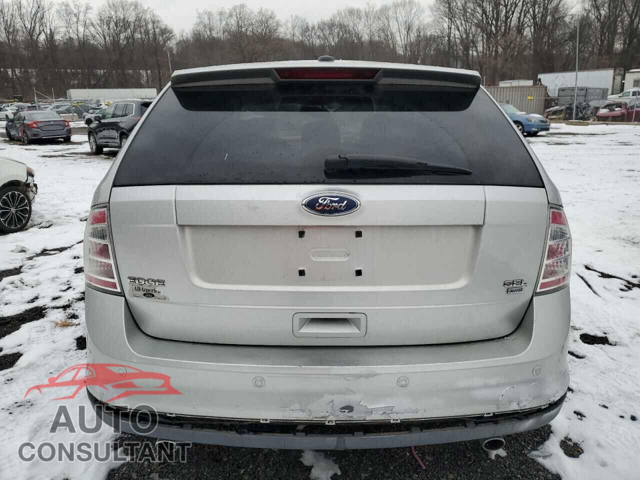 FORD EDGE 2009 - 2FMDK48C09BA82854