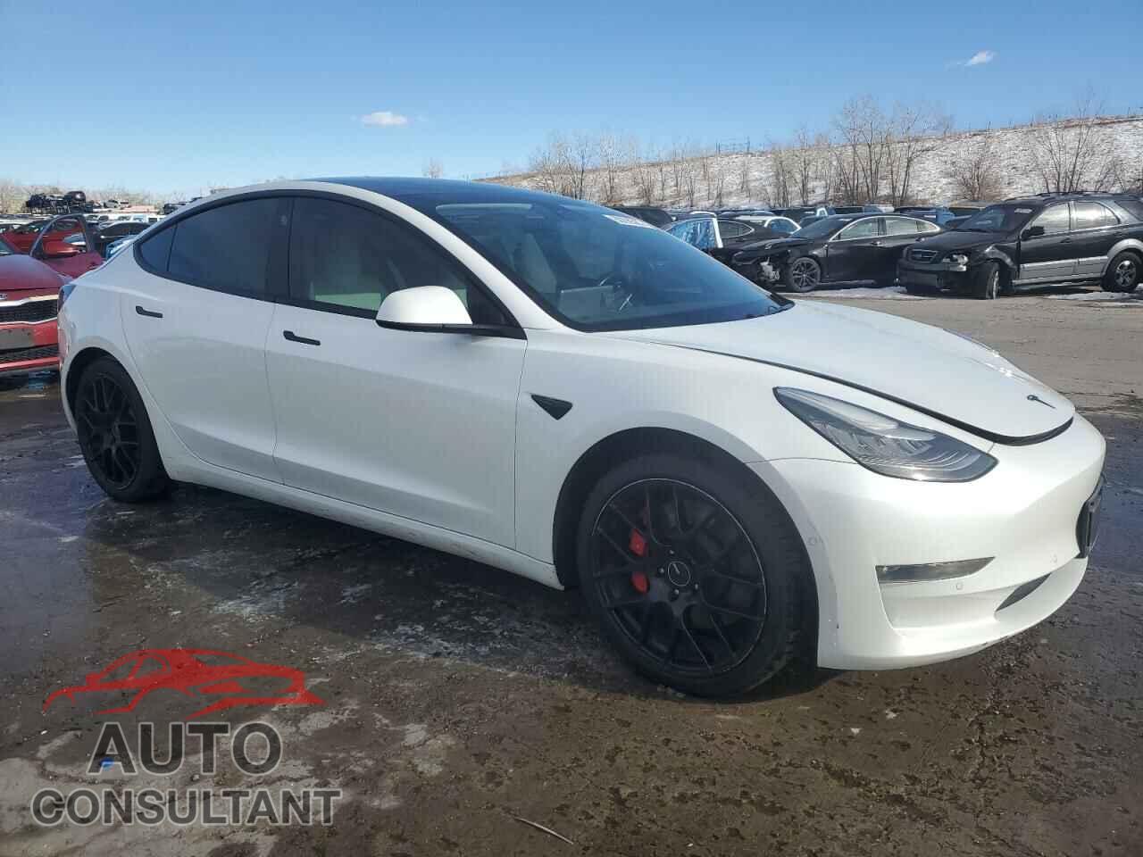 TESLA MODEL 3 2019 - 5YJ3E1EB7KF413794