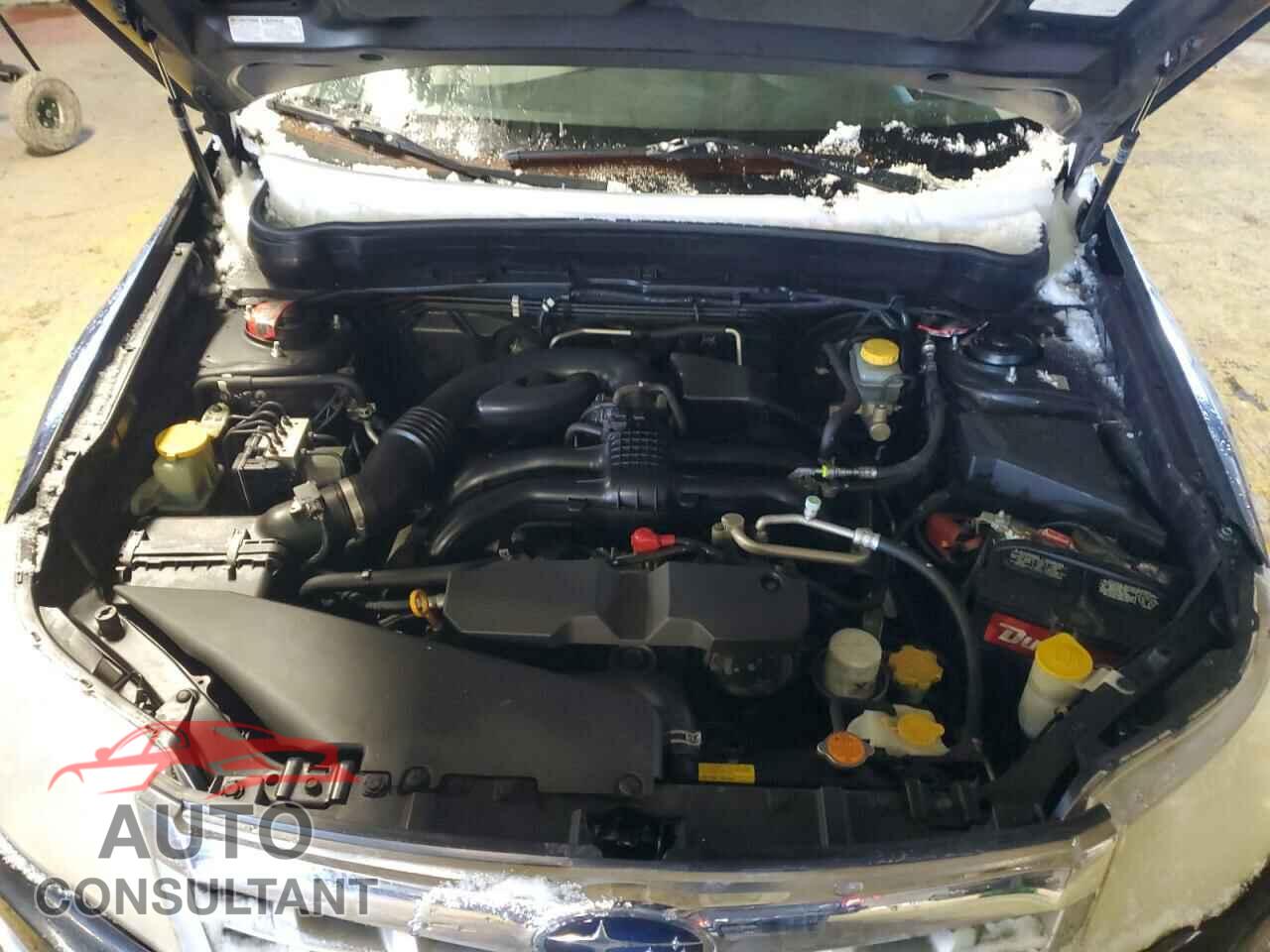 SUBARU FORESTER 2011 - JF2SHBDC8BH742847