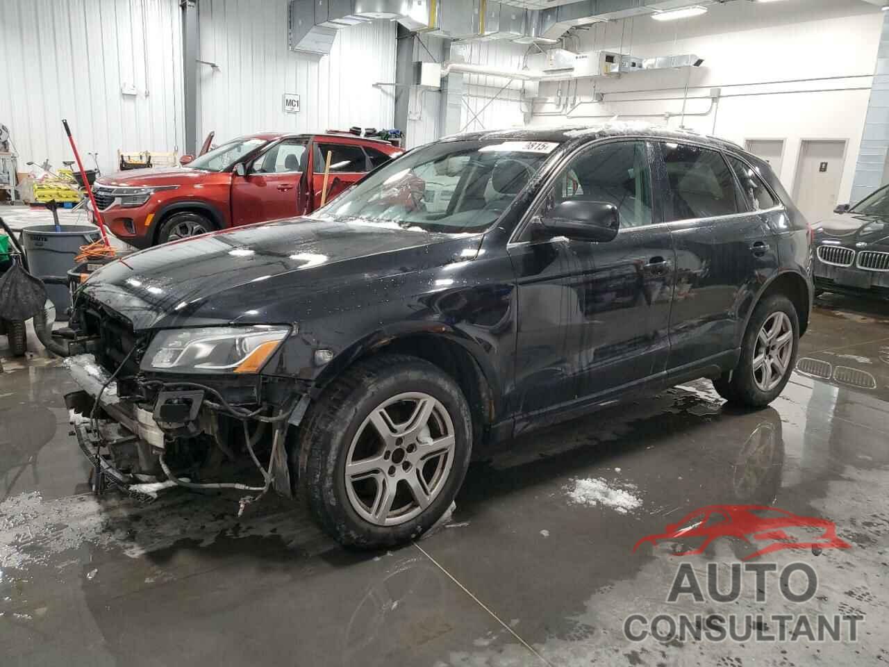 AUDI Q5 2010 - WA1LKCFP5AA018755