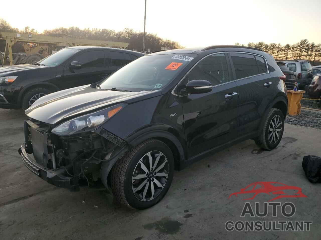 KIA SPORTAGE 2019 - KNDPNCAC5K7500644