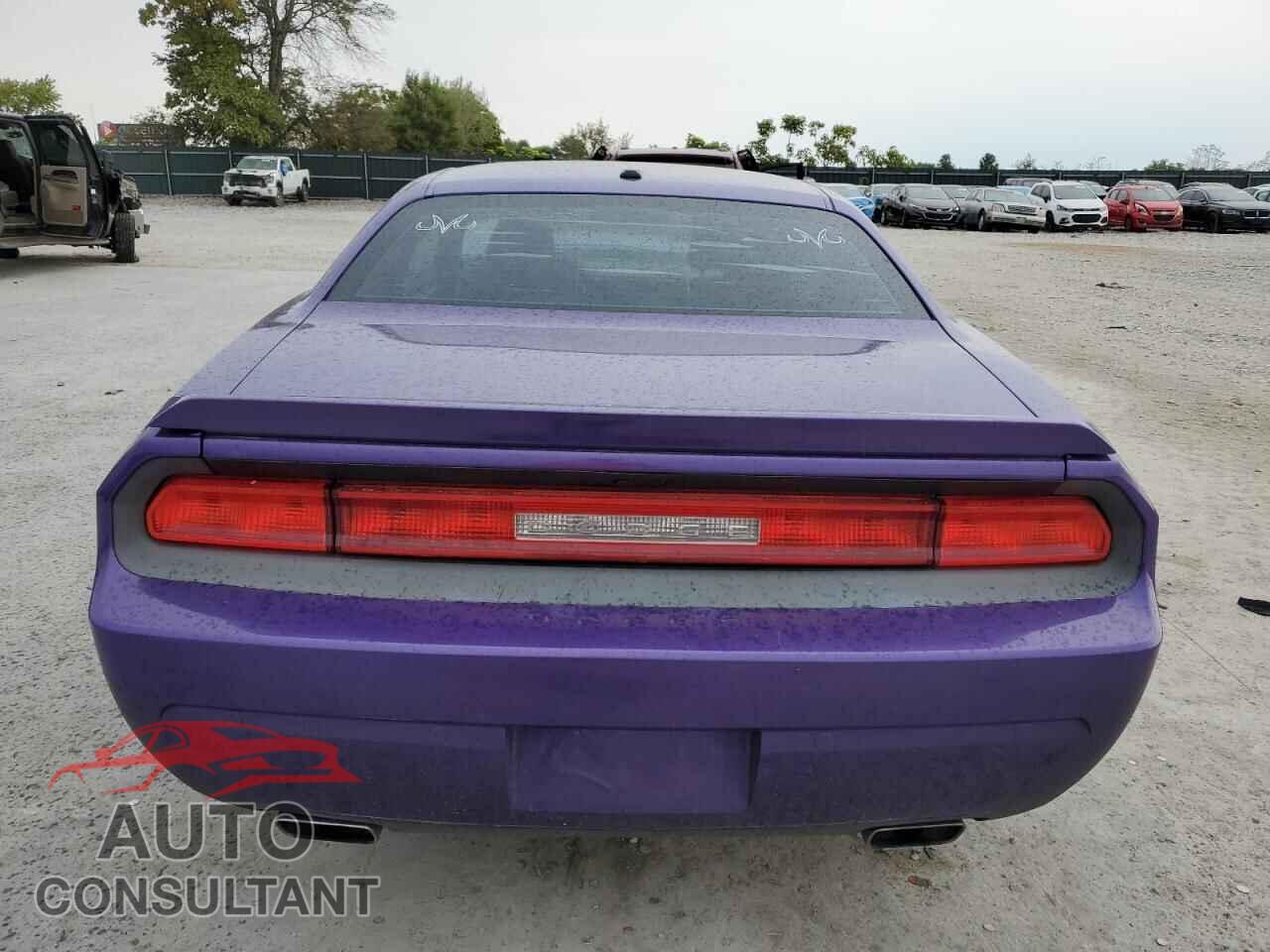 DODGE CHALLENGER 2013 - 2C3CDYBTXDH671592