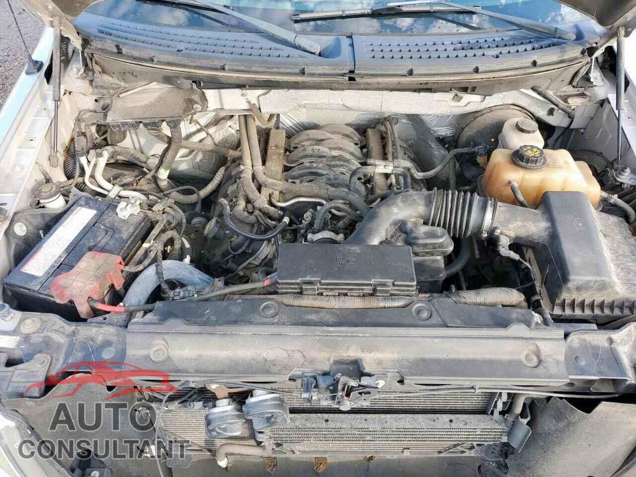 FORD F-150 2011 - 1FTFX1CF3BFD38231