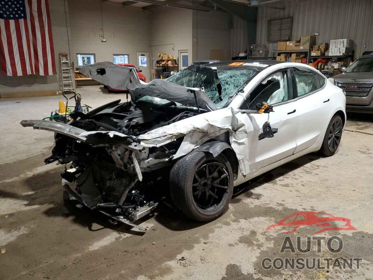 TESLA MODEL 3 2019 - 5YJ3E1EA7KF483013