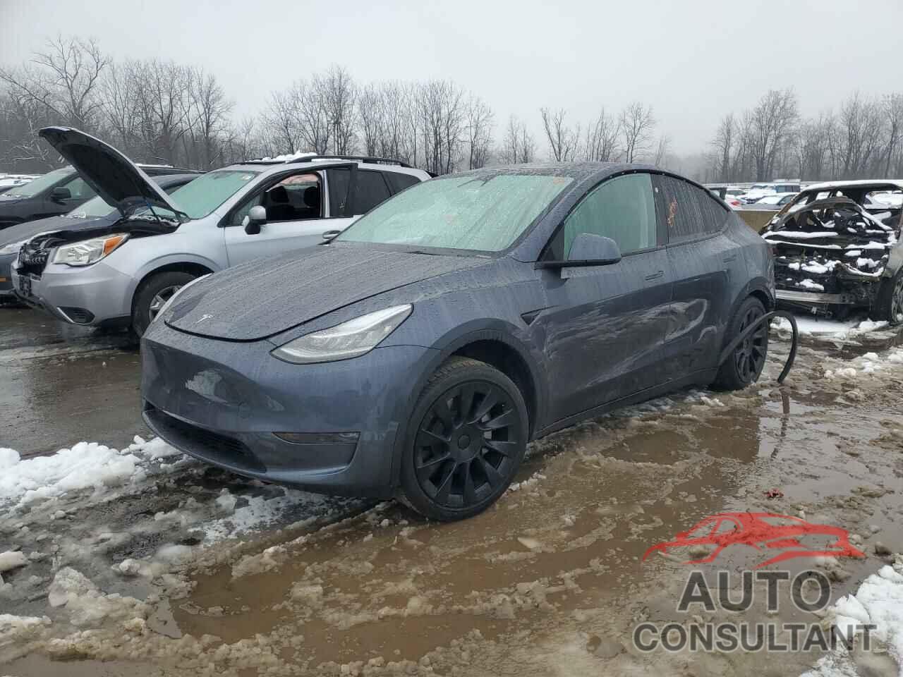 TESLA MODEL Y 2023 - 7SAYGDEEXPA028247