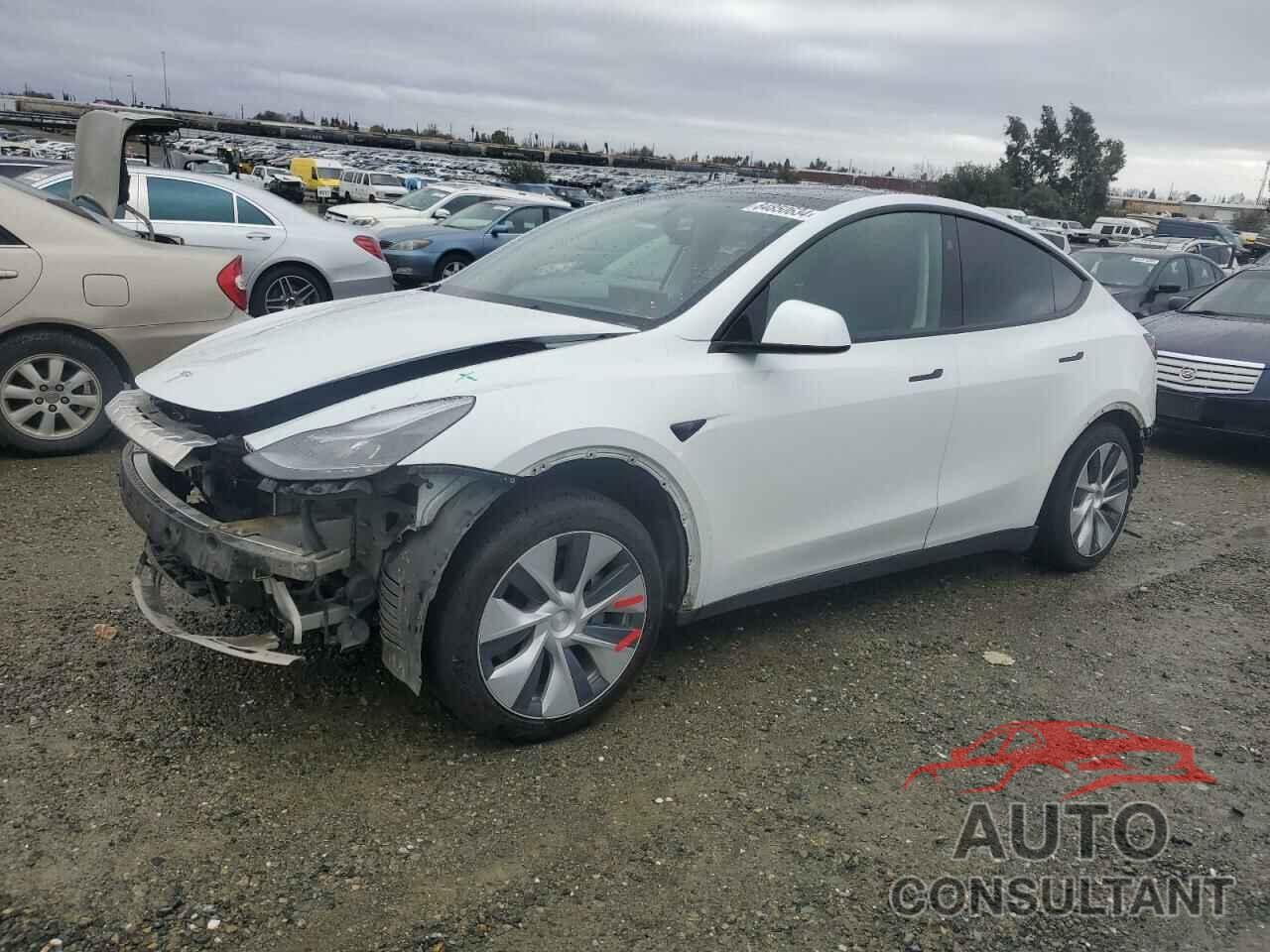 TESLA MODEL Y 2023 - 7SAYGAEE4PF881101