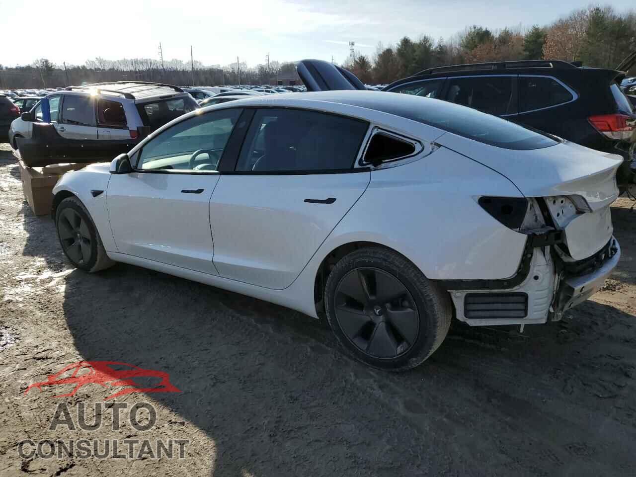 TESLA MODEL 3 2021 - 5YJ3E1EBXMF992301