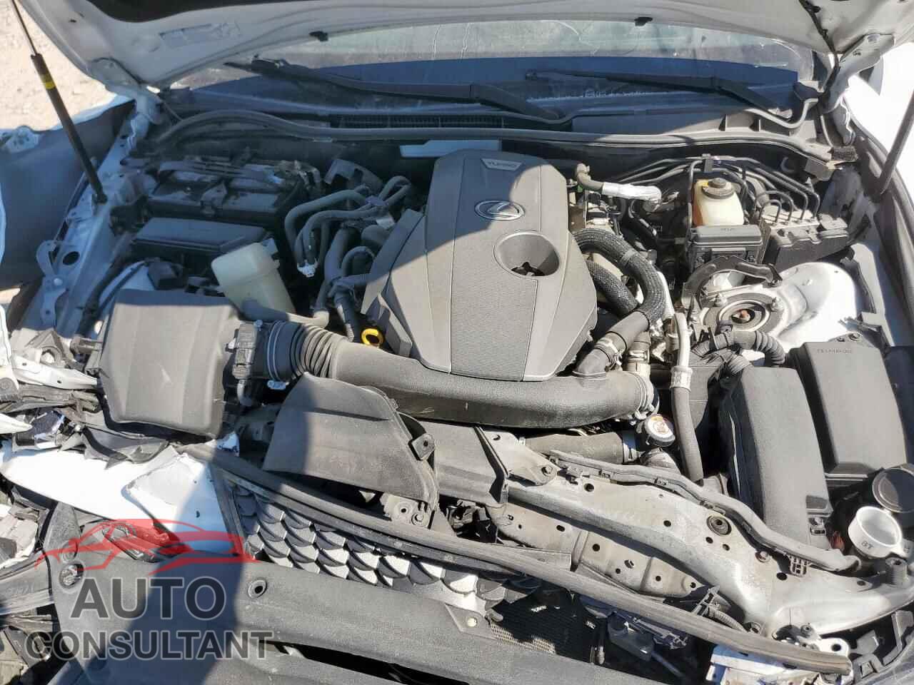 LEXUS IS 2019 - JTHBA1D20K5089693