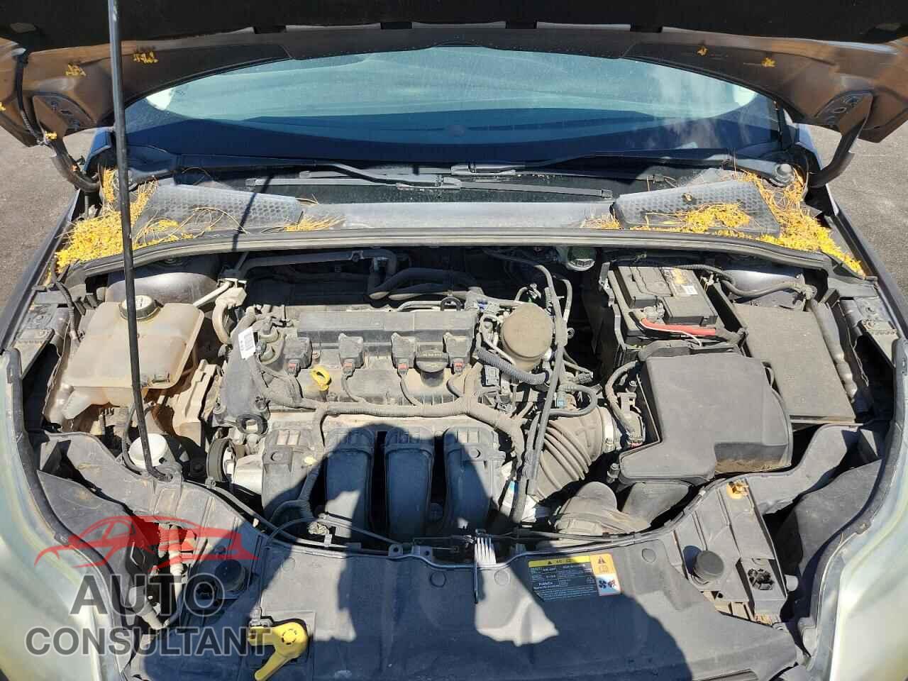 FORD FOCUS 2014 - 1FADP3E20EL155443