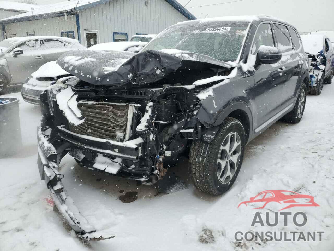 KIA TELLURIDE 2021 - 5XYP3DHC2MG104310