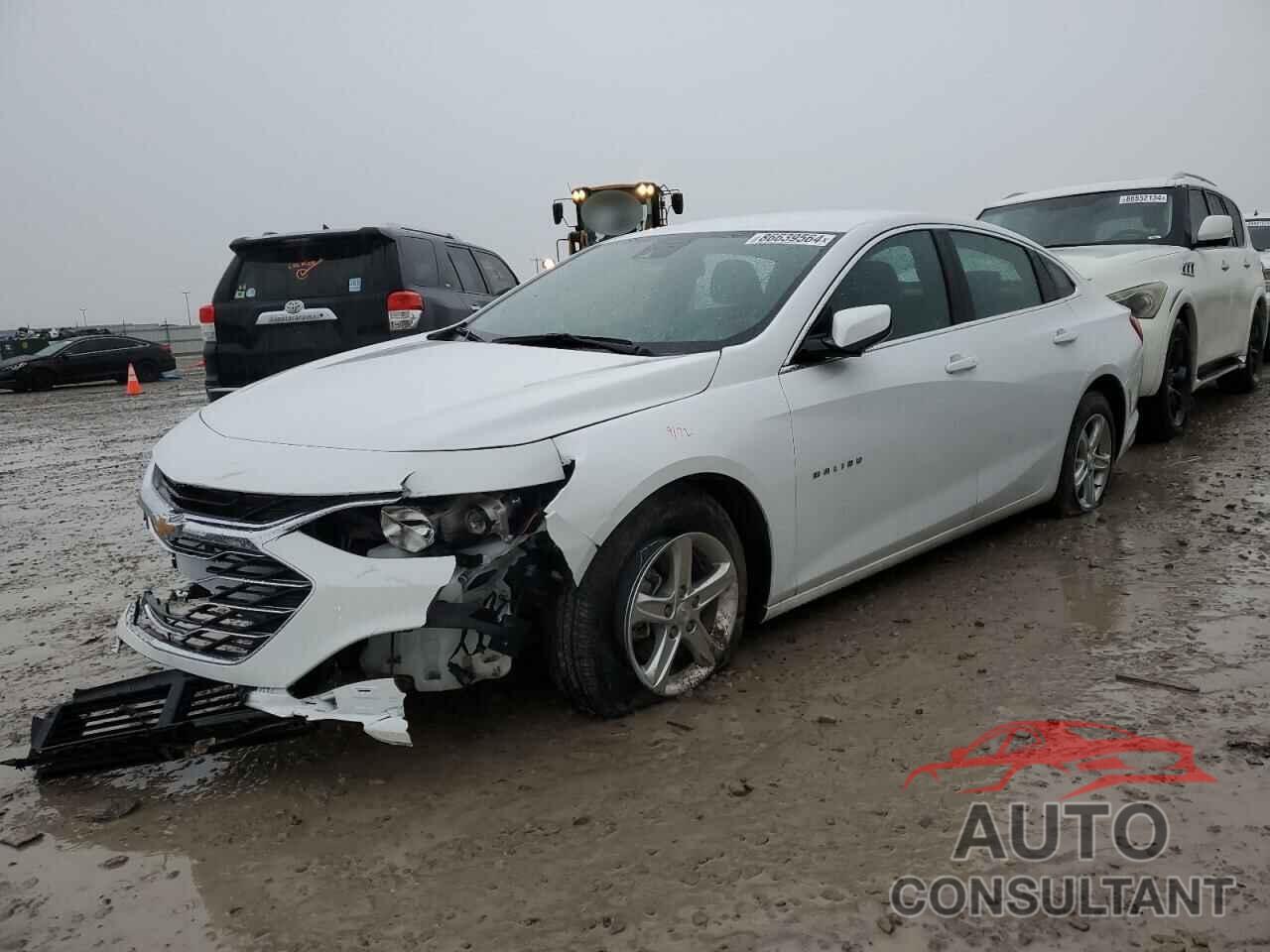 CHEVROLET MALIBU 2024 - 1G1ZB5ST4RF156941