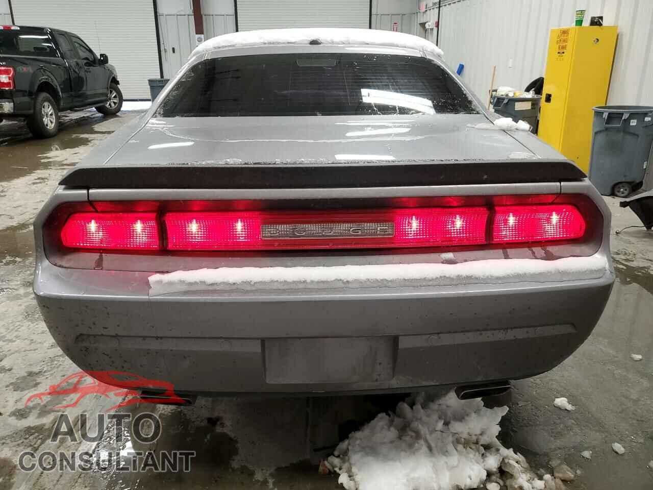DODGE CHALLENGER 2014 - 2C3CDYAG0EH102059