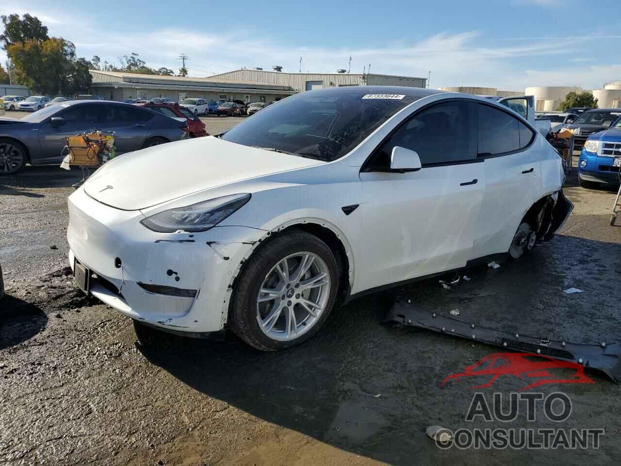TESLA MODEL Y 2021 - 5YJYGDEE7MF213643