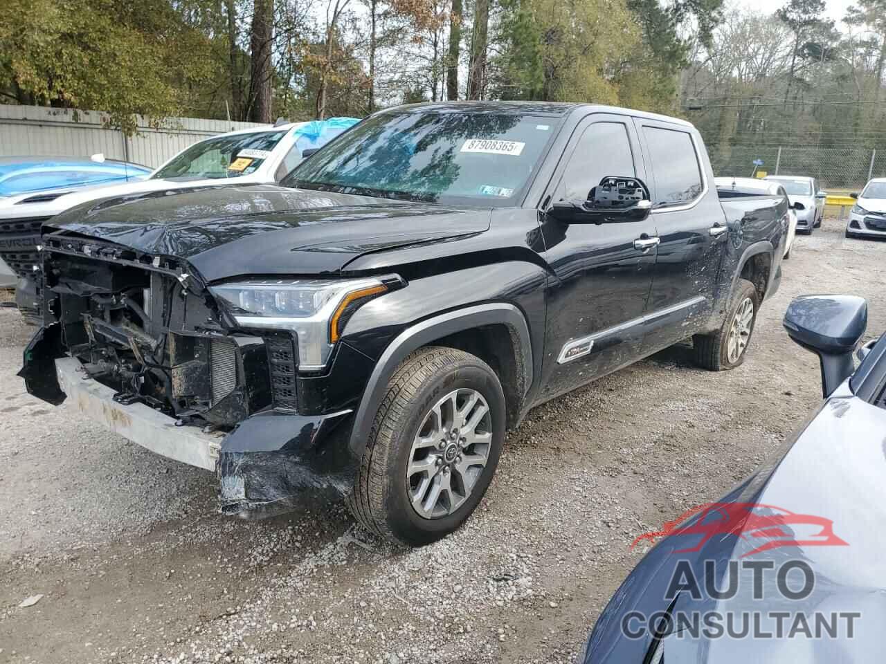 TOYOTA TUNDRA 2023 - 5TFMA5DB5PX124208