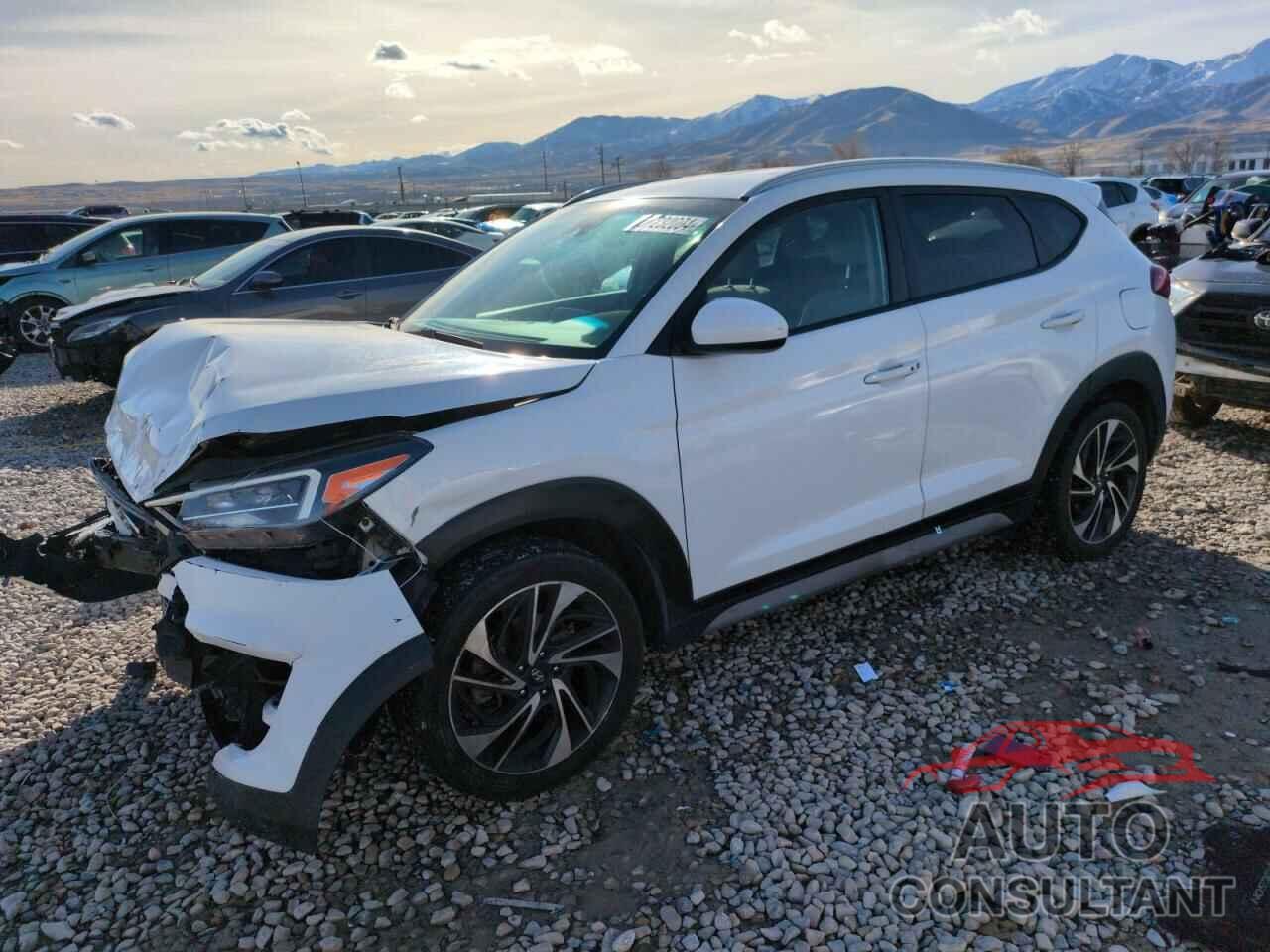 HYUNDAI TUCSON 2019 - KM8J3CAL7KU871099