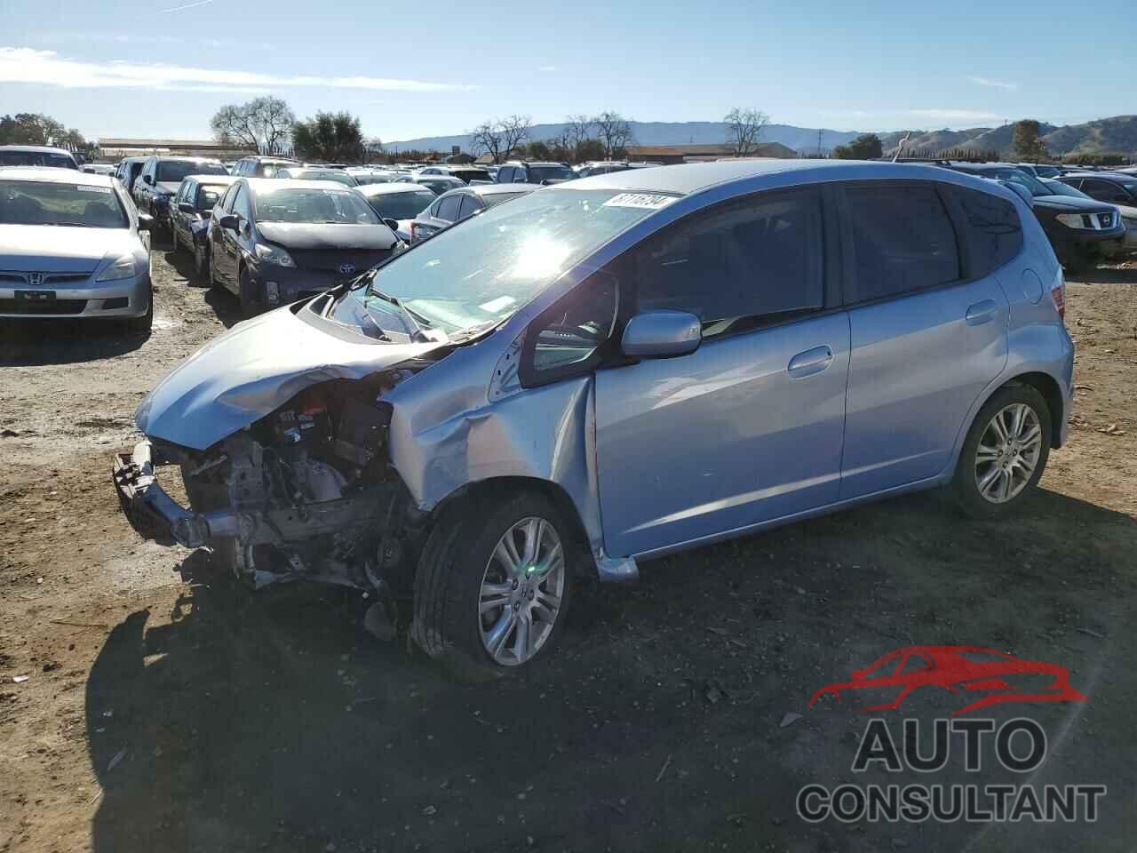 HONDA FIT 2009 - JHMGE88479S019991