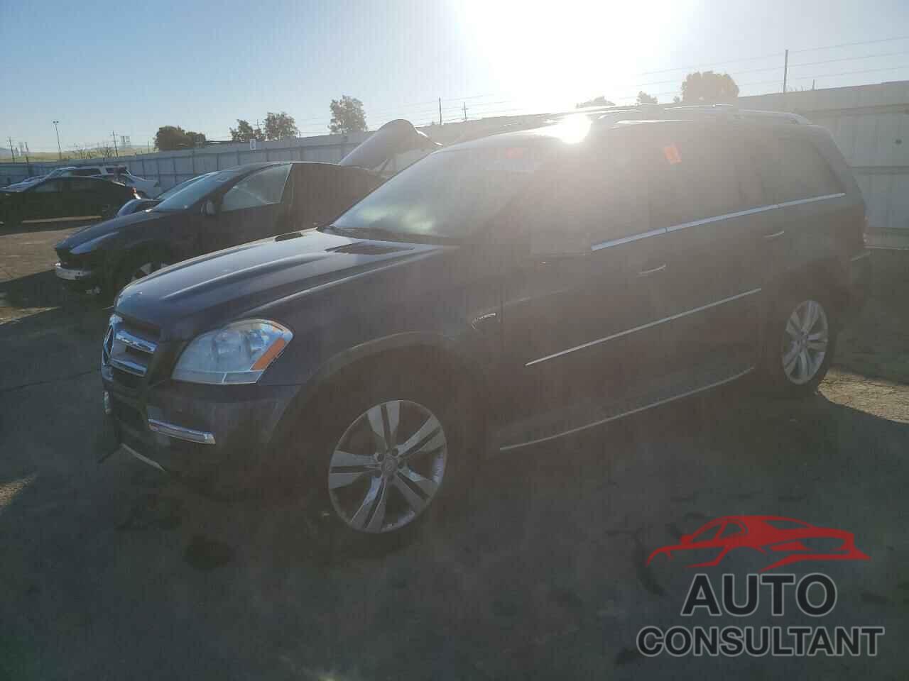 MERCEDES-BENZ GL-CLASS 2011 - 4JGBF2FE3BA735439