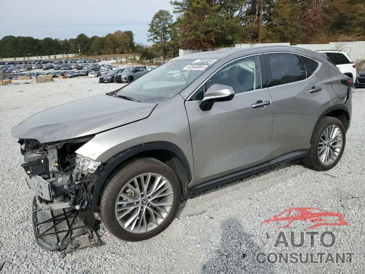 LEXUS NX 350H 2023 - 2T2HKCEZ5PC010928