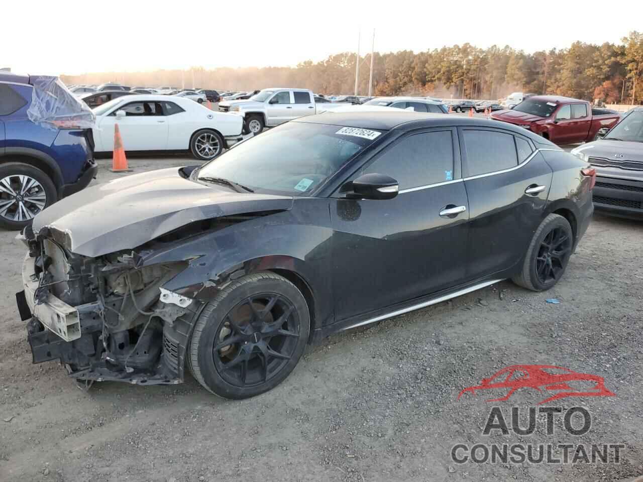 NISSAN MAXIMA 2016 - 1N4AA6AP2GC446813