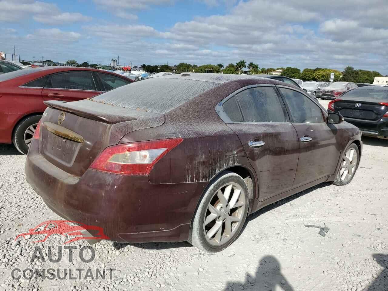 NISSAN MAXIMA 2009 - 1N4AA51E59C828507