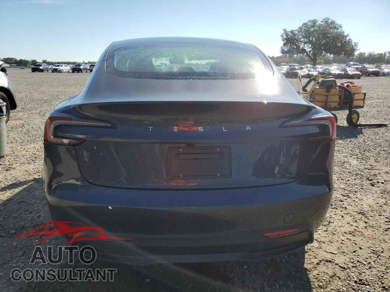 TESLA MODEL 3 2025 - 5YJ3E1EA6SF013510