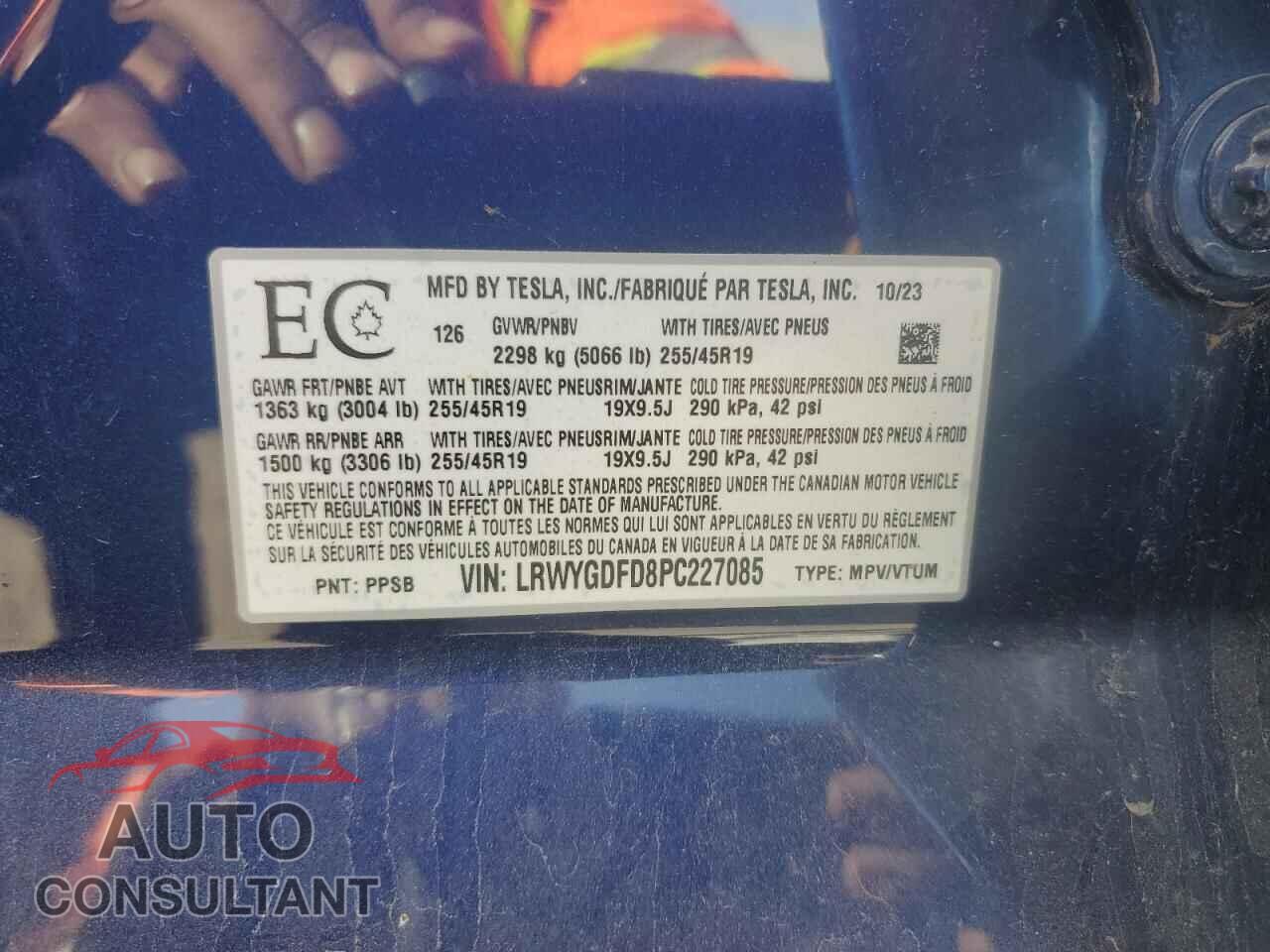 TESLA MODEL Y 2023 - LRWYGDFD8PC227085