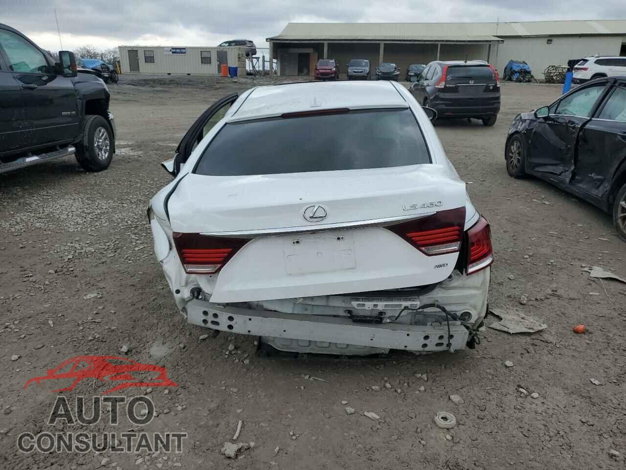 LEXUS LS460 2013 - JTHCL5EF4D5017017